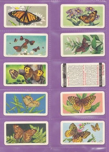 Set Of 48 - Brooke Bond & Co. Ltd. - Canada - Butterflies Of North America - 1965