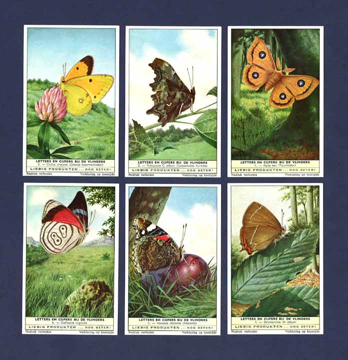 Liebig - Set Of X 6 - S 1759 / F 1763 - Letters And Figures On Butterflies Ii - 1961