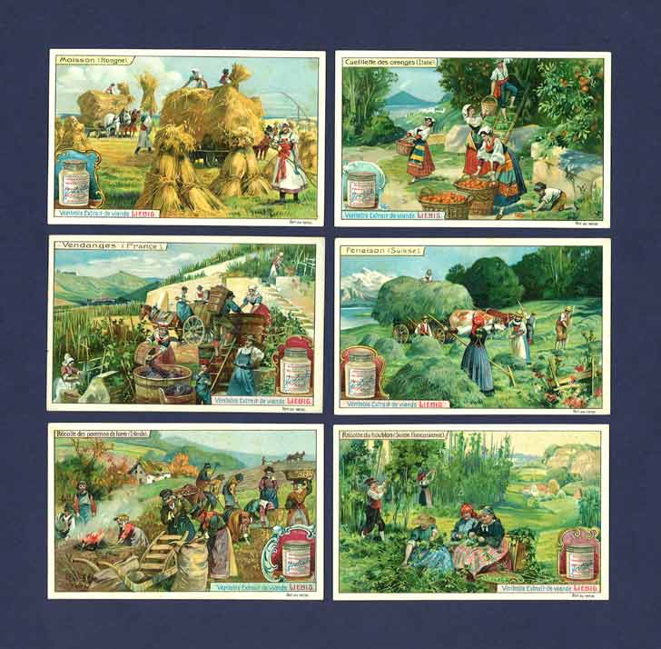 Liebig - Set Of X 6 - S  944 / F 942 - Harvests In Different Lands - 1908