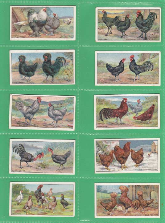 Ogdens Ltd. - Set Of 25 - Poultry 2nd Series (26-50) - 1916