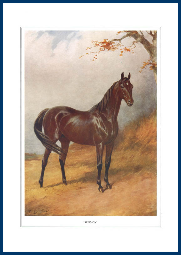 Pack Of 20 Prints - Vanity Fair Reprints - From Our Fantastic Set Of 16 Racehorses - St. Simon