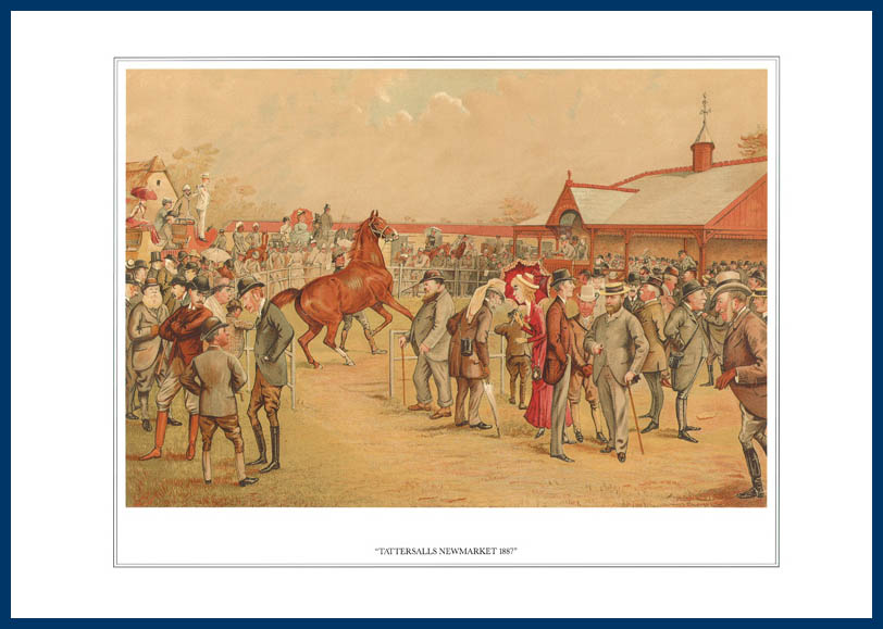 Pack Of 20 Prints - Vanity Fair Reprints - From Our Fantastic Set Of 16 Racehorses - Tattersalls Newmarket 1887