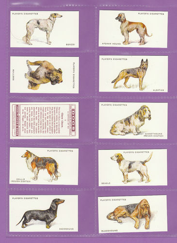 Card Collectors Society - Set Of 50 Player's ' Dogs By Wardle ' Cards