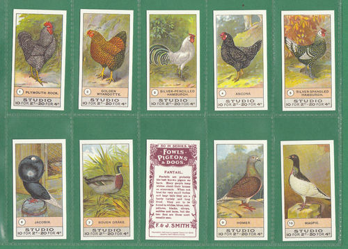 Card Collectors Society - Set Of 50 Smith ' Fowls, Pigeons & Dogs ' Cards