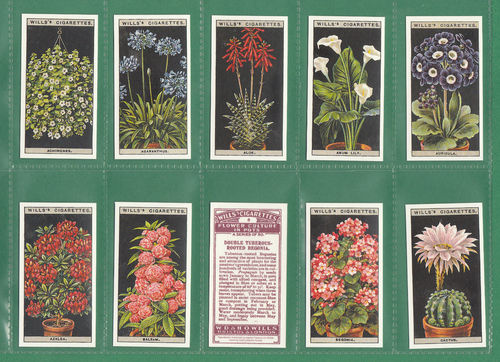 Card Collectors Society - Set Of 50 Wills ' Flower Culture In Pots ' Cards