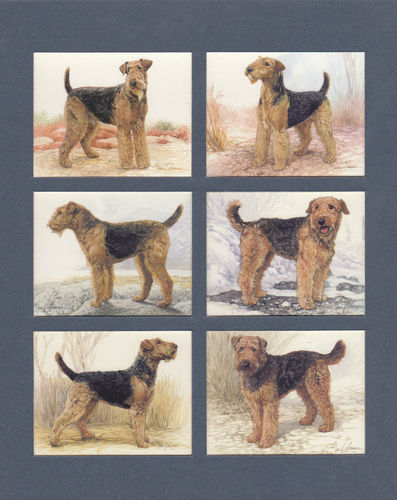 Imperial Publishing Ltd. - Set Of 6 Large Airedale Terriers Dog Cards
