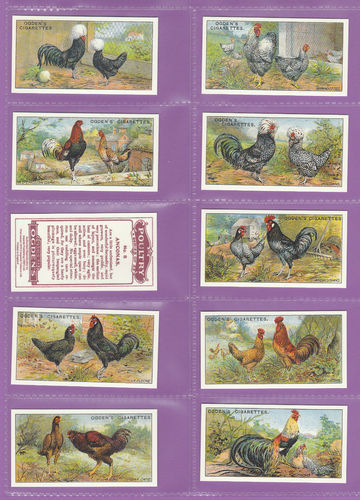 Imperial publishing ltd - set of 25 ogden's ' poultry 1st series ' cards