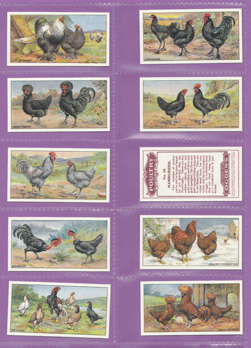 Imperial Publishing Ltd - Set Of 25 Ogden's ' Poultry 2nd Series ' Cards