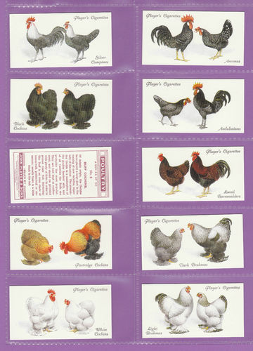 Imperial Publishing Ltd - Set Of 50 Player's ' Poultry ' Cards