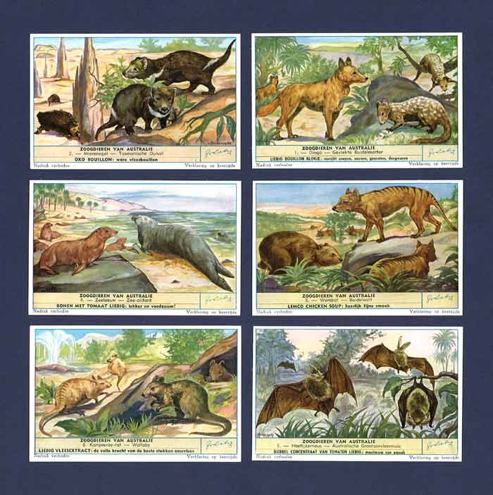 Liebig - Set Of X 6 - S 1612 / F 1608 - Australian Mammals - 1955