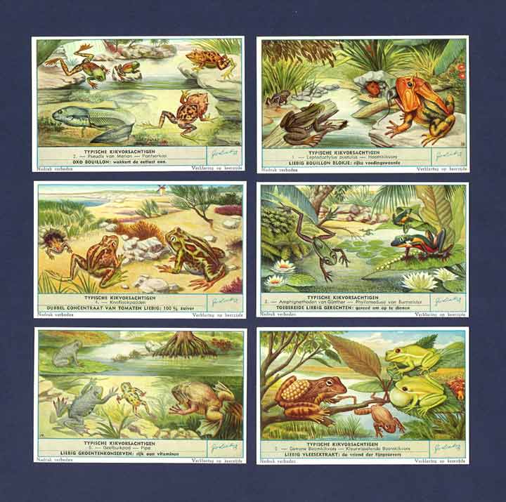 Liebig - Set Of X 6 - S 1661 / F 1659 - Species Of Frog  - 1957