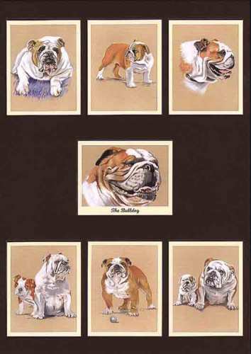 Perikim Dogs - Set Of 7 The Bulldog Cards - 2005