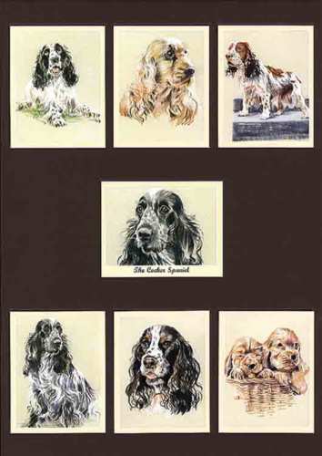 Perikim Dogs - Set Of 7 The Cocker Spaniel Cards - 2001