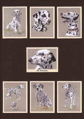 Perikim Dogs - Set Of 7 The Dalmation Cards - 2005