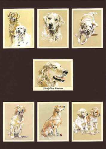Perikim Dogs - Set Of 7 The Golden Retriever - 2001