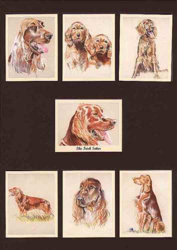 Perikim Dogs - Set Of 7 The Irish Setter Cards - 2005
