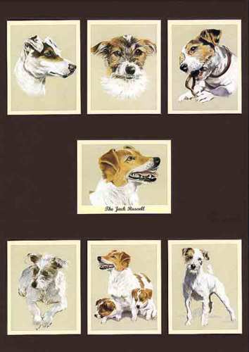 Perikim Dogs - Set Of 7 The Jack Russell Cards - 2001