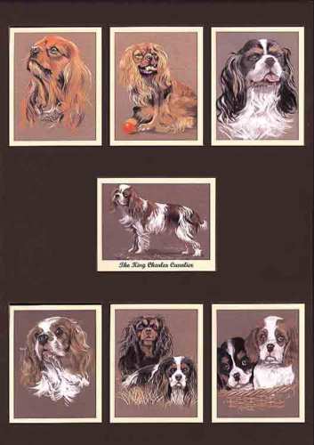 Perikim Dogs - Set Of 7 The King Charles Cavalier -2005