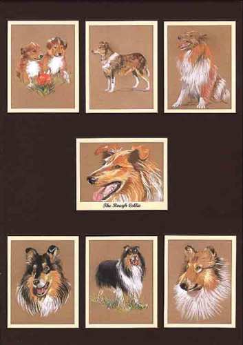 Perikim Dogs - Set Of 7 The Rough Collie Cards - 2005