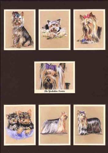 Perikim Dogs - Set Of 7 The Yorkshire Terrier - 2005