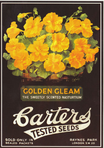 Robert Opie Advertising Postcard - Carters Tested Seeds