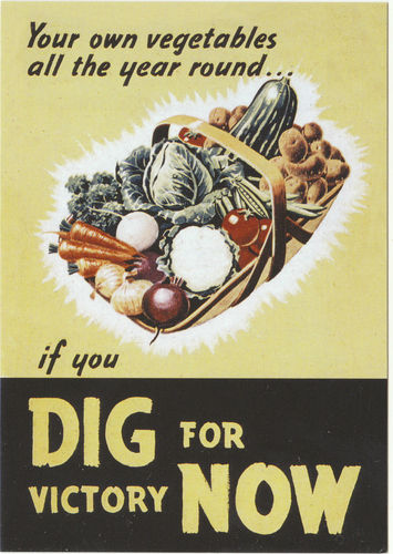 Robert Opie Advertising Postcard - Dig For Victory