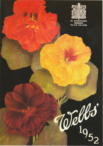 Robert Opie Advertising Postcard - Webbs Flower Seeds