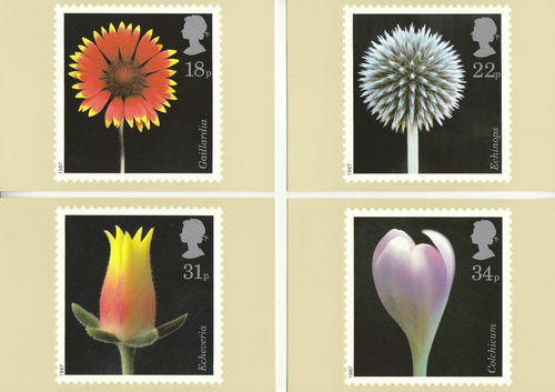 U.k. Post Office - Set Of 4 Flower Photographs Cards - 1987